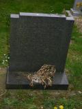 image of grave number 21457